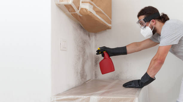 Attic Mold Remediation treatment on roof deck in Coram